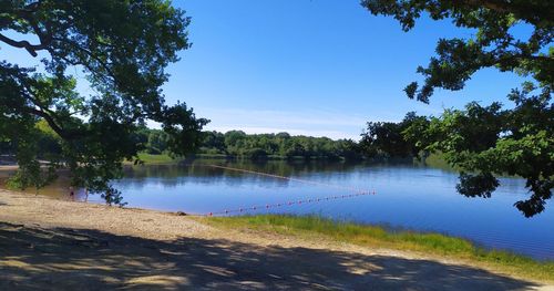 Vue de la zone de baignade de l'étang des bois